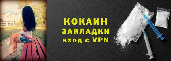 дживик Медвежьегорск