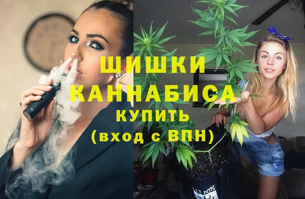 ПСИЛОЦИБИНОВЫЕ ГРИБЫ Медногорск