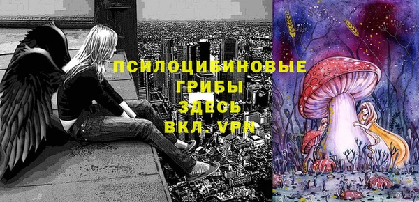 ПСИЛОЦИБИНОВЫЕ ГРИБЫ Медногорск