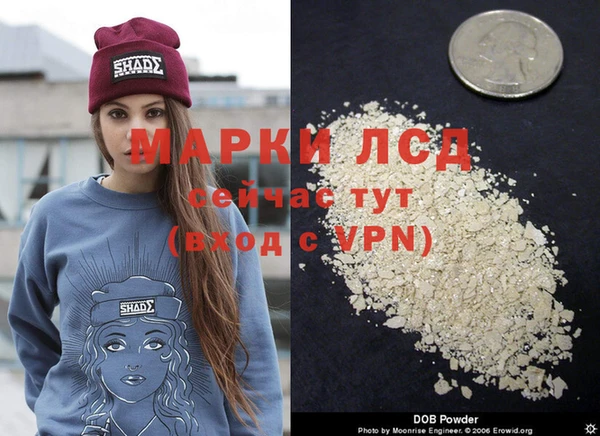 ПСИЛОЦИБИНОВЫЕ ГРИБЫ Медногорск