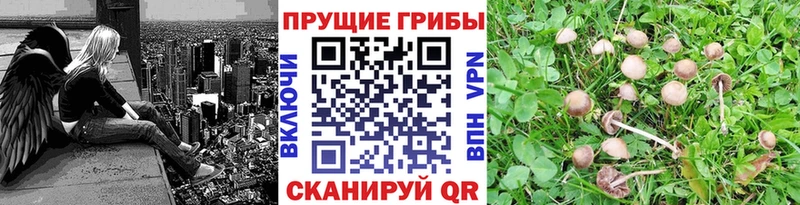 Галлюциногенные грибы ЛСД  kraken зеркало  Сим 